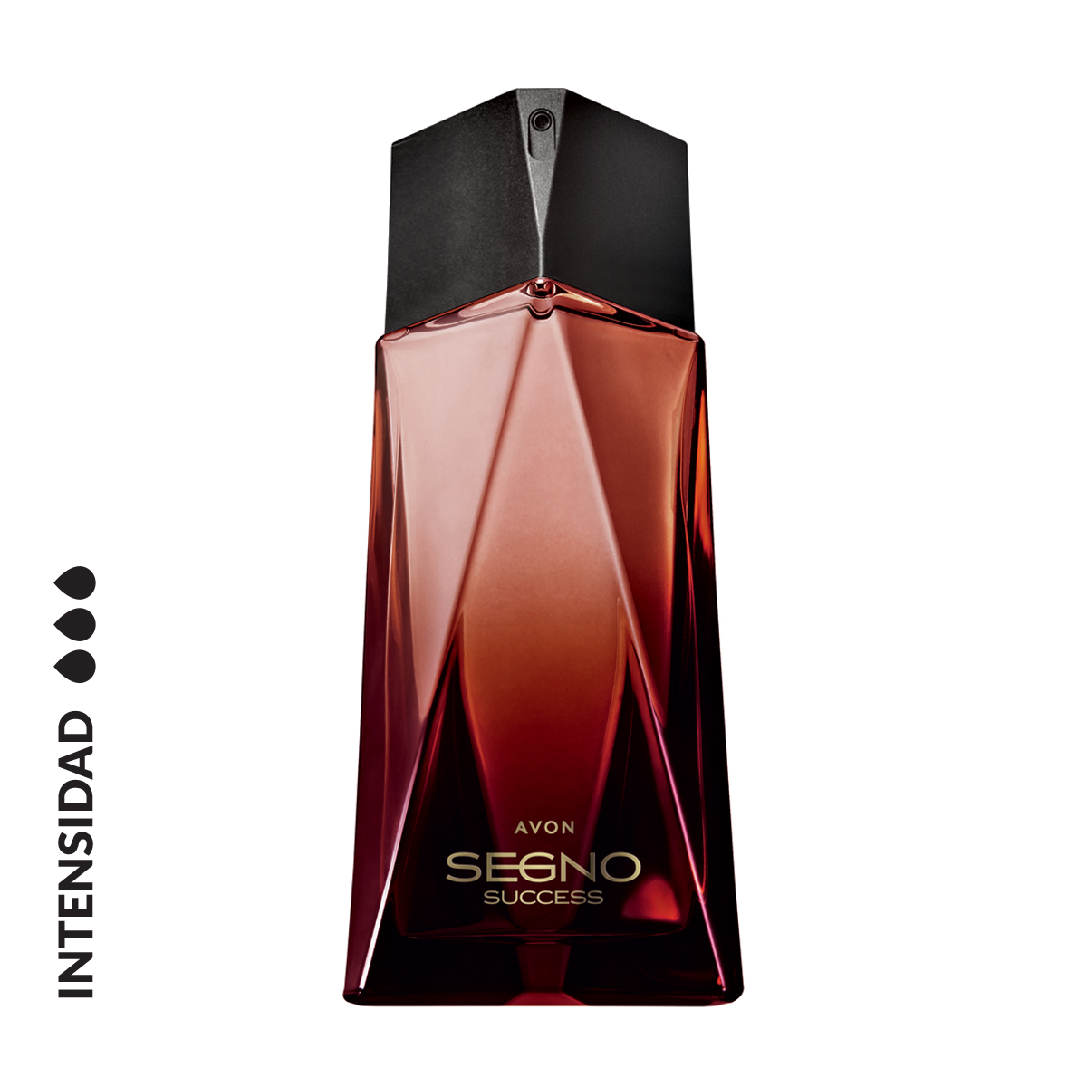 Segno Success Perfume de Hombre Avon Argentina